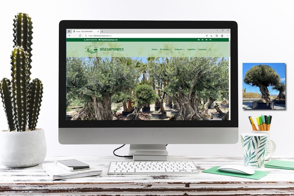 delcampoimpex